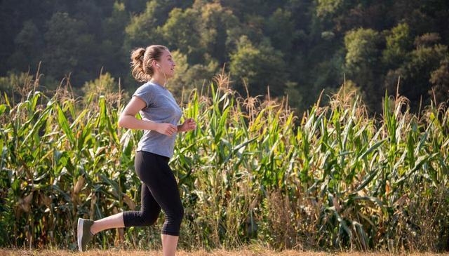 amp, 生活方式使 amp, 生活方式使